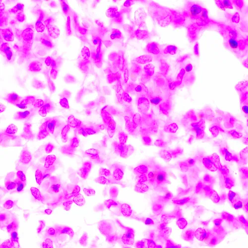 figura di Microscopio biologico MAGUS Bio 270T,  24