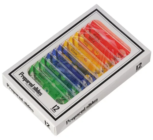 immagine di Microscopio digitale Levenhuk Rainbow DM500 LCD,  12
