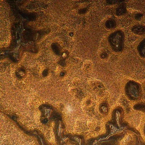 fotografia di Microscopio metallografico invertito MAGUS Metal V790 DIC,  19