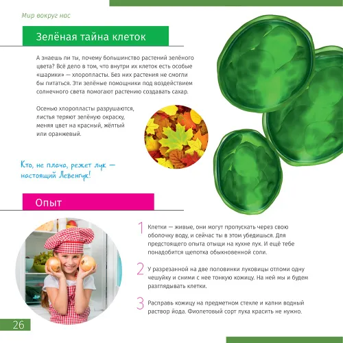 immagine di Mondo invisibile. Libro educativo,  4