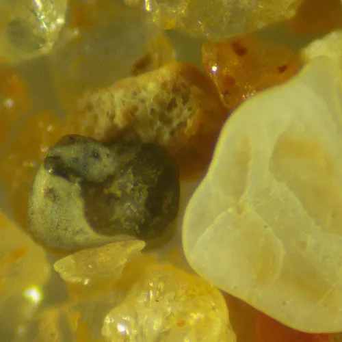 figura di Microscopio stereoscopico digitale MAGUS Stereo D9T,  25