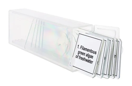 figura di Set di micropreparati Levenhuk Discovery Prof DPS 5. “Biologia”,  5