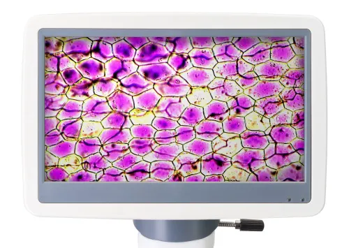 figura di Microscopio digitale Levenhuk D85L LCD,  6