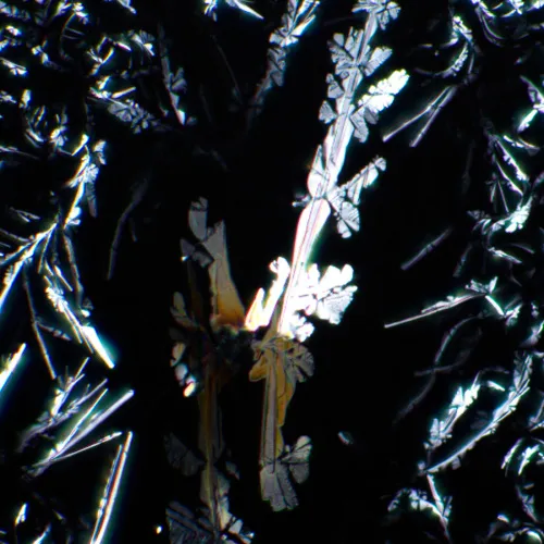 figura di Set polarizzatore/analizzatore MAGUS SPD2,  5