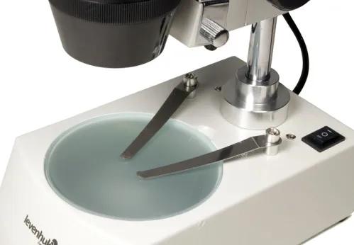 fotografia di Microscopio Levenhuk 3ST,  4