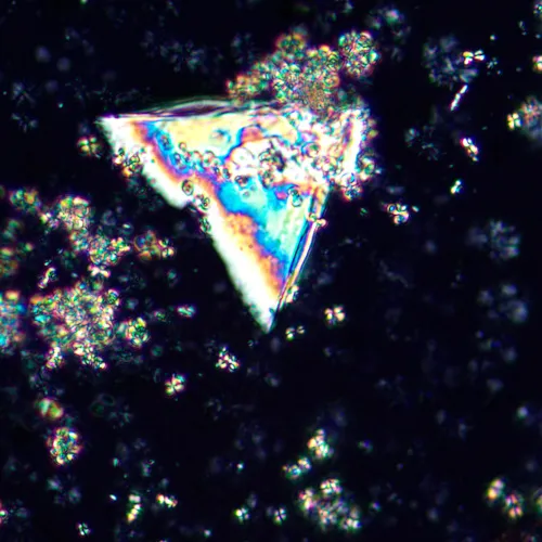 foto di Microscopio polarizzatore digitale MAGUS Pol D850 LCD,  27