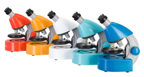 immagine di Microscopio Levenhuk Discovery Micro con libro,  3