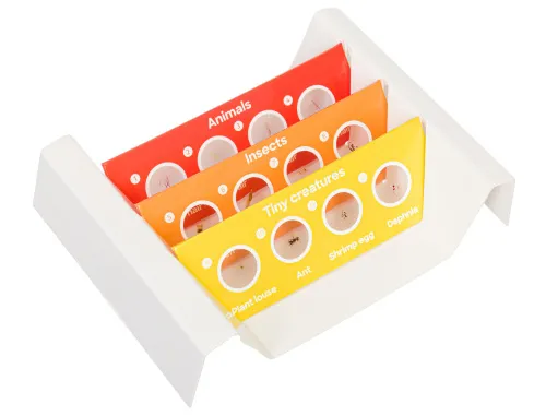 fotografia di Levenhuk Discovery Fauna Set con 12 vetrini preparati,  2