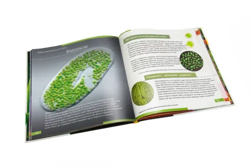 figura di Mondo invisibile. Libro educativo. Copertina rigida,  9