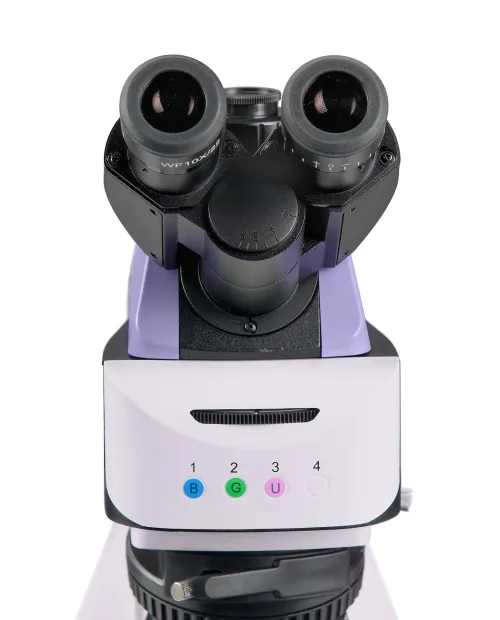 fotografia di Microscopio a fluorescenza MAGUS Lum 460L,  9