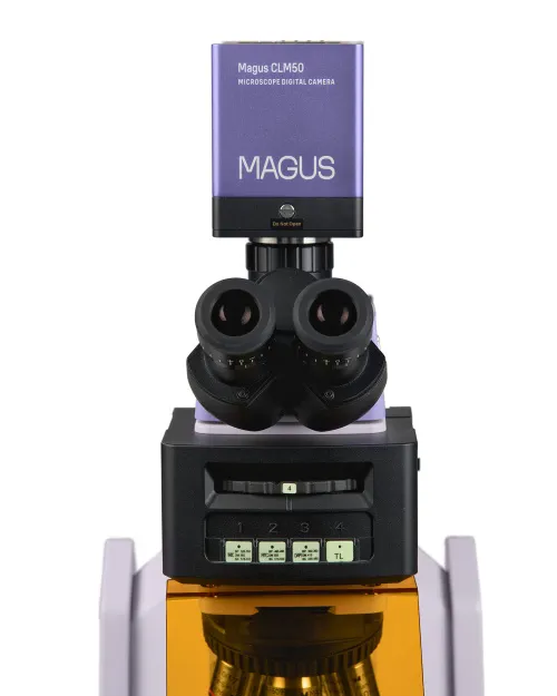 fotografia di Microscopio a fluorescenza digitale MAGUS Lum D470L,  11