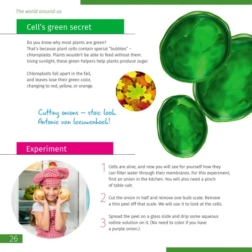 immagine di Microscopio Levenhuk Discovery Micro con libro,  7