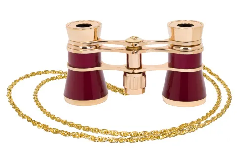 immagine di Binocoli da teatro Levenhuk Broadway 325B,  7