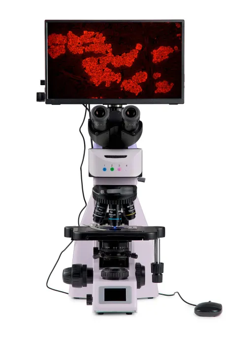 figura di Microscopio digitale a fluorescenza MAGUS Lum D460L LCD,  9