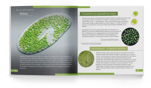 immagine di Mondo invisibile. Libro educativo,  3