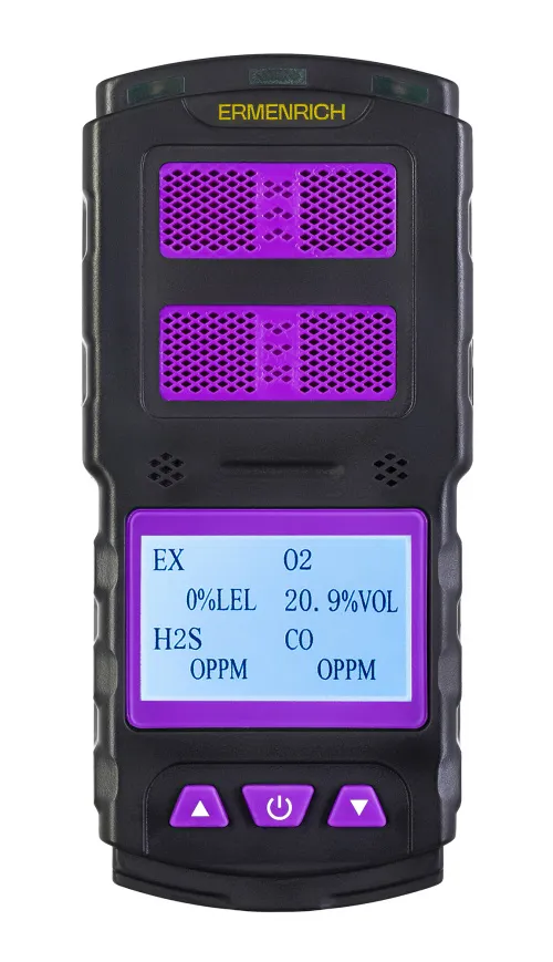 foto di Rilevatore di gas Ermenrich NG60,  4
