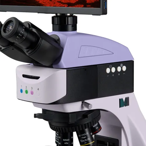 figura di Microscopio digitale a fluorescenza MAGUS Lum D460L LCD,  13