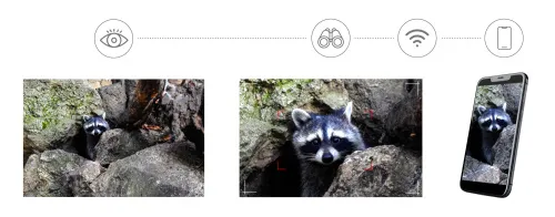 figura di Fotobinocolo digitale Levenhuk Kelvin Snap ED 8x42,  6