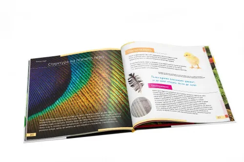 figura di Mondo invisibile. Libro educativo. Copertina rigida,  10