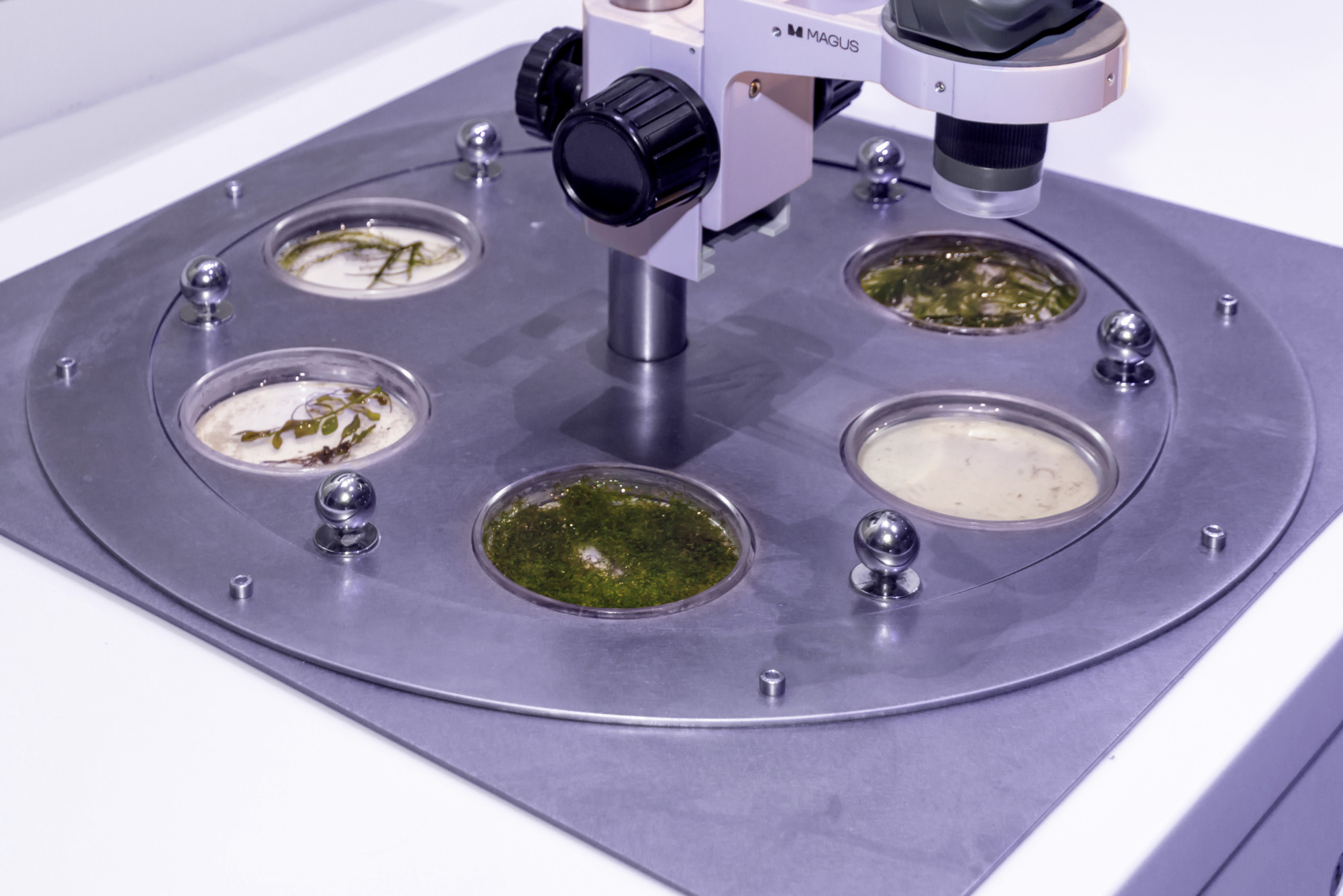 museum_world_ocean_04.jpg museum_world_ocean_04.jpg