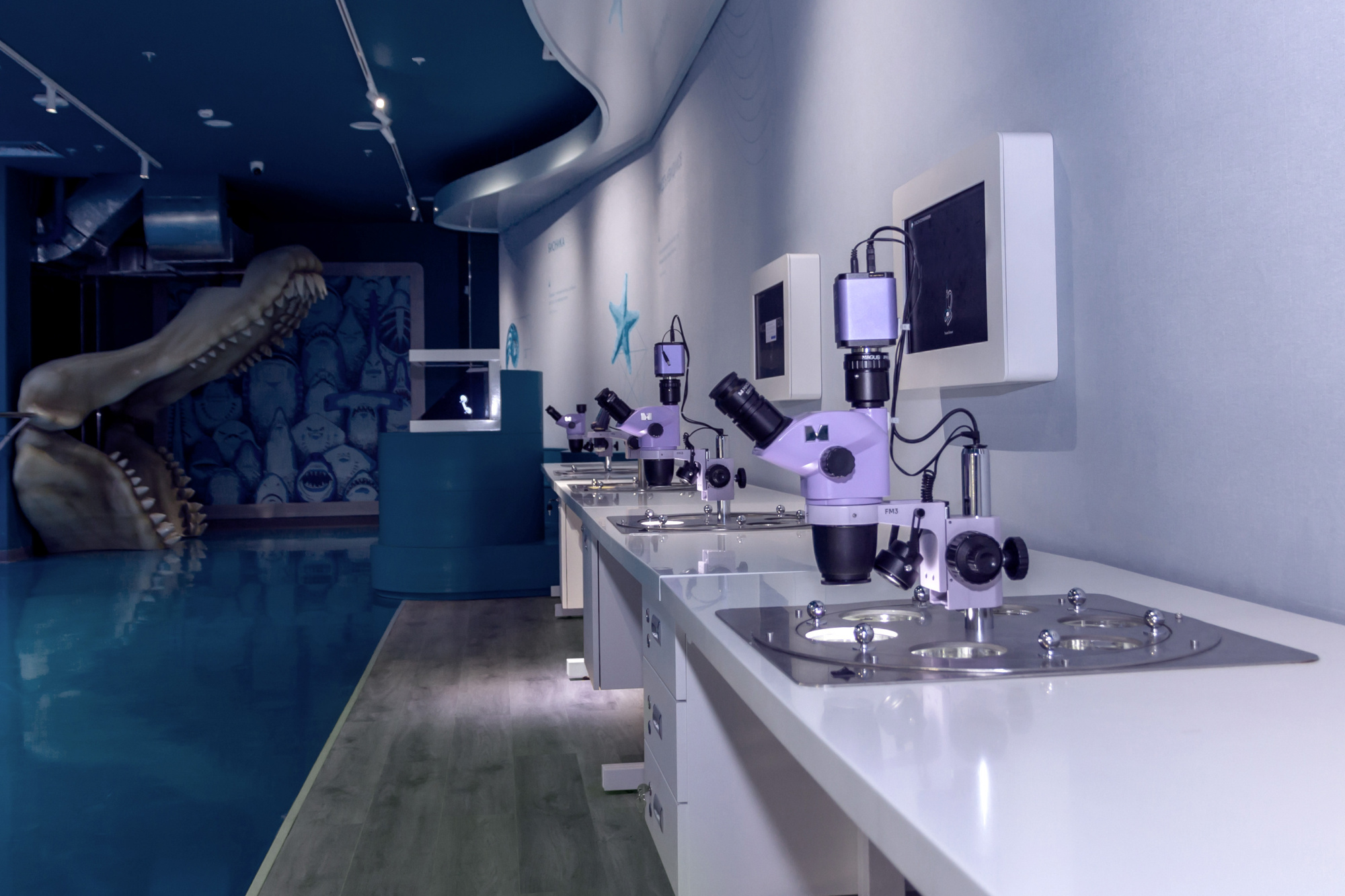 museum_world_ocean_00.jpg museum_world_ocean_00.jpg