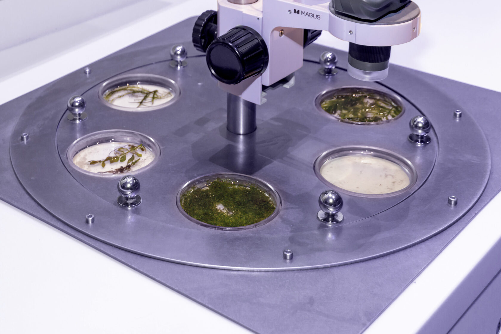 MAGUS nelle esibizioni museali museum_world_ocean_0.jpg