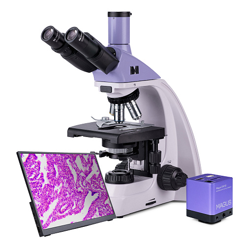 immagine di Microscopio biologico digitale MAGUS Bio D250TL LCD