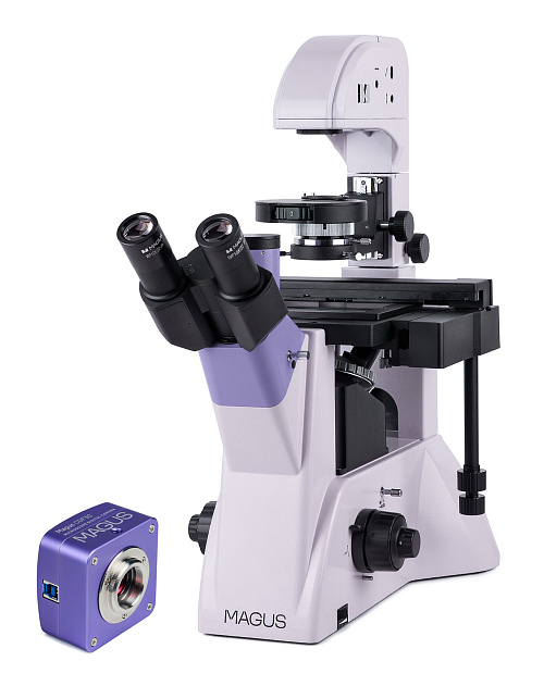 figura di Microscopio biologico invertito digitale MAGUS Bio VD350