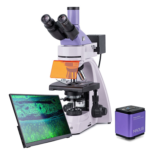 figura di Microscopio a fluorescenza digitale MAGUS Lum D400L LCD