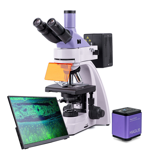foto di Microscopio a fluorescenza digitale MAGUS Lum D400 LCD