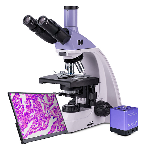 fotografia di Microscopio biologico digitale MAGUS Bio D250T LCD