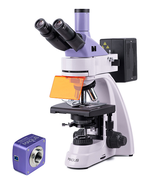 foto di Microscopio a fluorescenza digitale MAGUS Lum D400