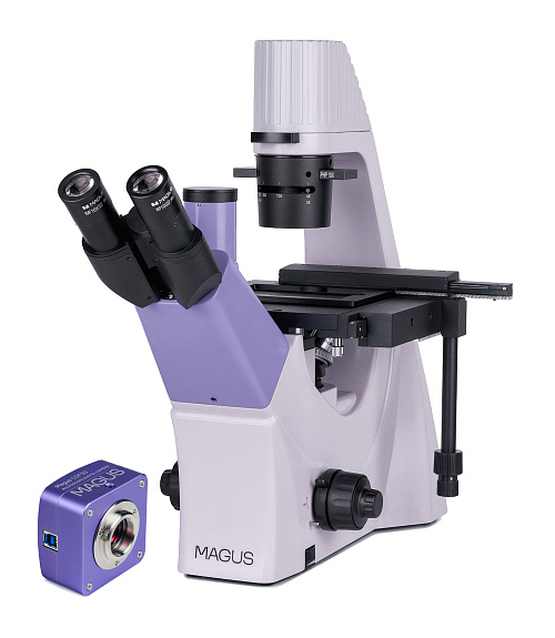 figura di Microscopio biologico invertito digitale MAGUS Bio VD300
